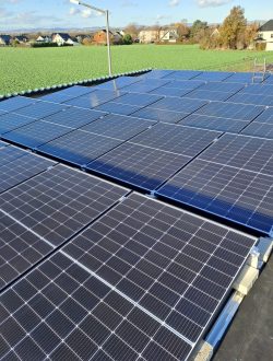 9d254626-9450-40d3-9c53-fbb5e9d3540d REW | Regenerative Energiewerke Deutschland GmbH - Photovoltaik15